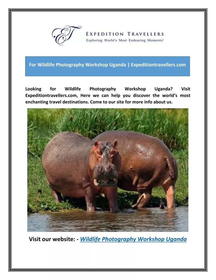 looking for wildlife photography workshop uganda