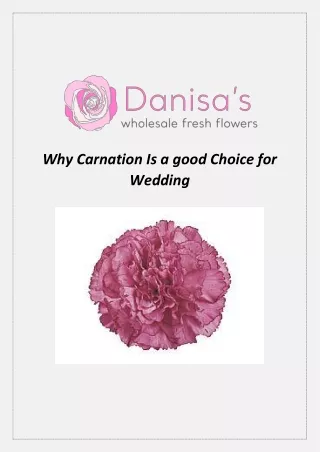 why carnation is a good choice for wedding