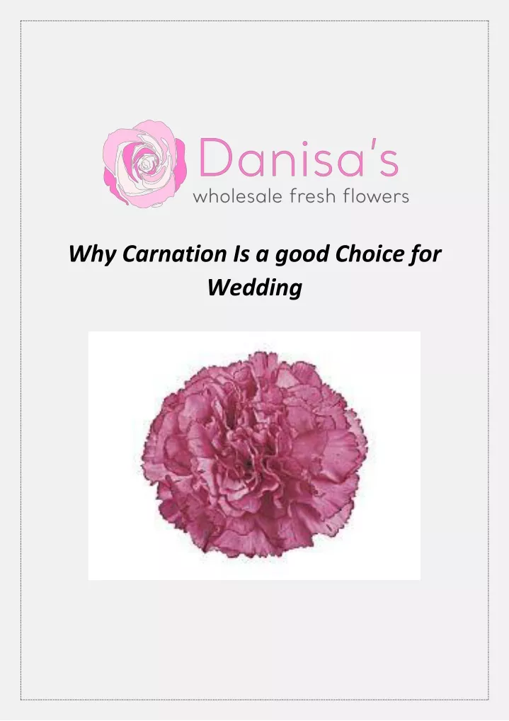 why carnation is a good choice for wedding