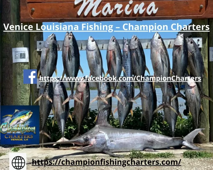 venice louisiana fishing champion charters