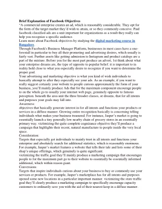brief explanation of facebook objectives