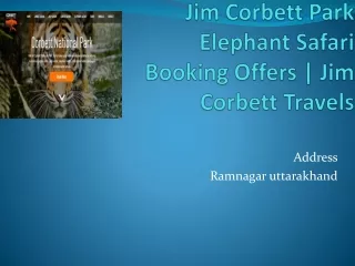 Jim Corbett Park Elephant Safari Booking Offers | Jim Corbett Travels