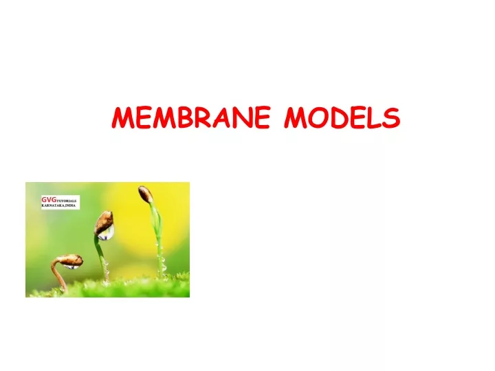 membrane models