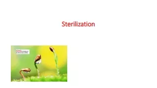 sterilization