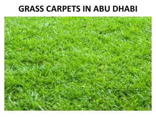 grass carpets in abu dhabi