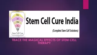 Trace the Magical effects of Stem Cell Therapy
