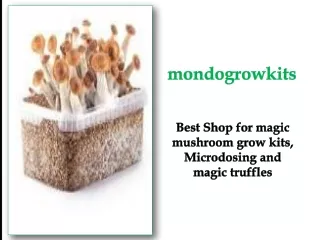 Best Shop for magic mushroom grow kits, Microdosing and magic truffles