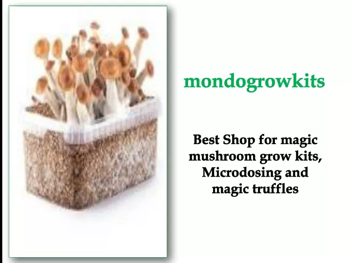 mondogrowkits