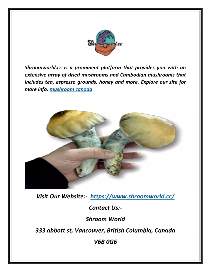 shroomworld cc is a prominent platform that