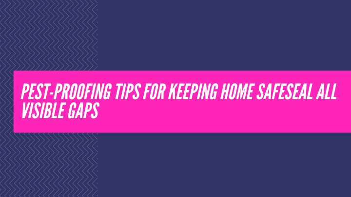 pest proofing tips for keeping home safeseal