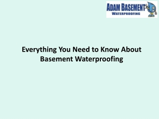 everything you need to know about basement