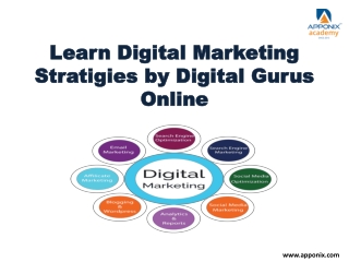 Learn Digital Marketing Stratigies by Digital Gurus Online