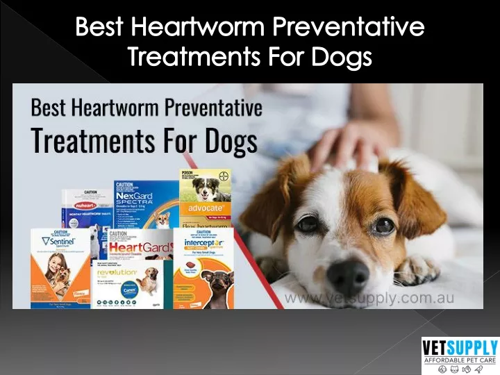 best heartworm preventative treatments for dogs