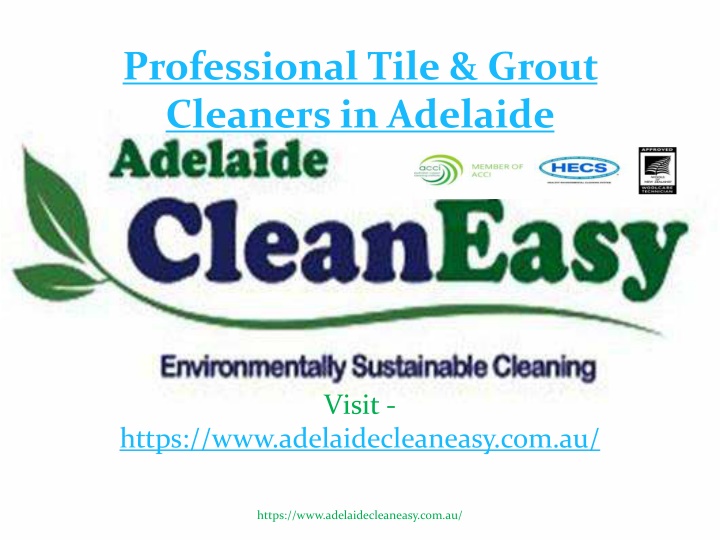 professional tile grout cleaners in adelaide