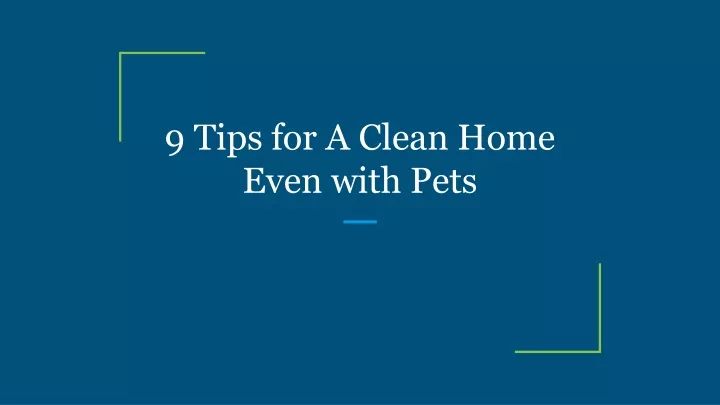 9 tips for a clean home even with pets