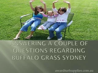 Answering A Couple Of Questions Regarding Buffalo Grass Sydney
