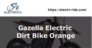 Gazella Electric Dirt Bike Orange - Electri-Ride