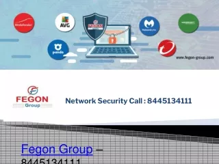 8445134111 - Fegon Group LLC