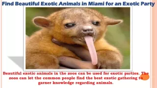 Find Beautiful Exotic Animals in Miami for an Exotic Party