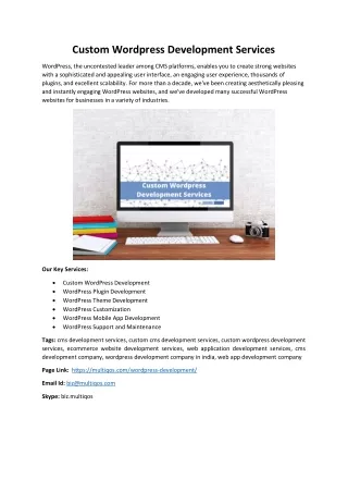 custom wordpress development services