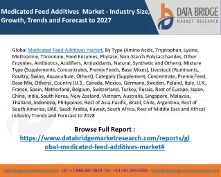 medicated feed additives market industry size