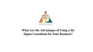 What Are the Advantages of Using a Six Sigma Consultant for Your Business