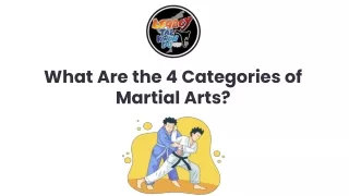 what are the 4 categories of martial arts