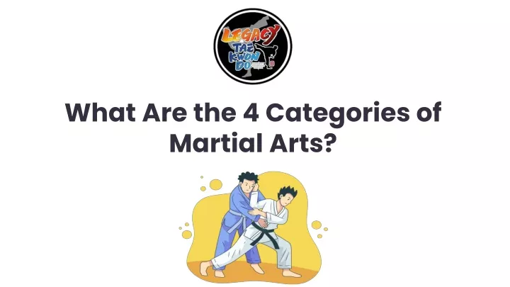 what are the 4 categories of martial arts