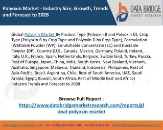 Global Polyoxin Market - Industry Trends and Forecast to 2028