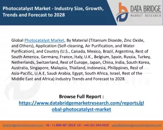 Global Photocatalyst Market – Industry Trends and Forecast to 2028