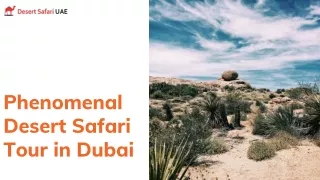 Phenomenal Desert Safari Tour in Dubai