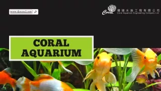 Coral-Aquarium