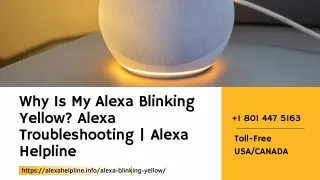 Alexa Blinking Yellow Won’t Turn Off on Your Alexa Echo? Alexahelpline