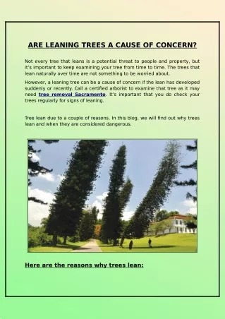 are leaning trees a cause of concern
