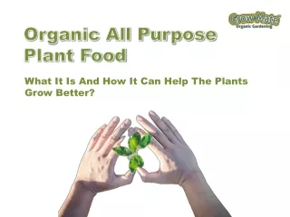 Things To Know About All Purpose Plant Food
