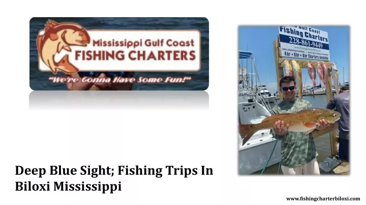 deep blue sight fishing trips in biloxi