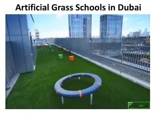artificial grass schools in dubai