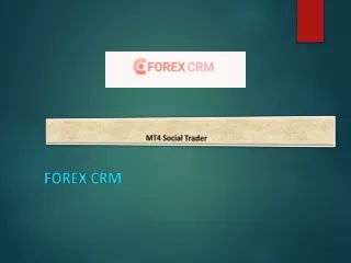 mt4 social trader