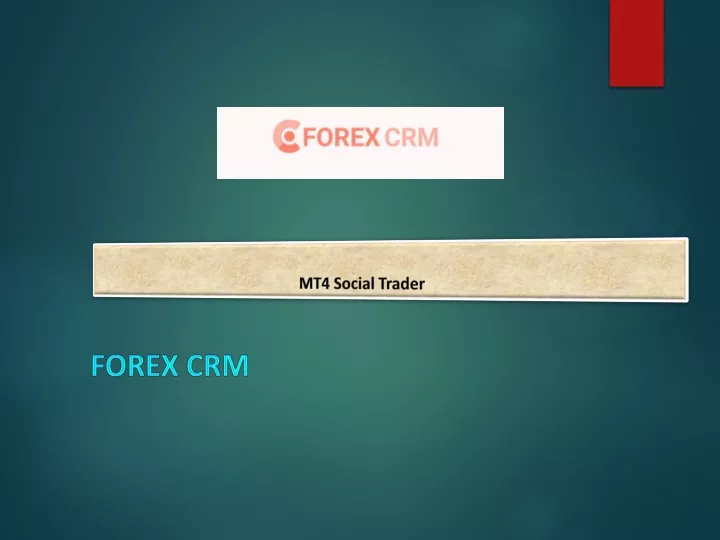 mt4 social trader