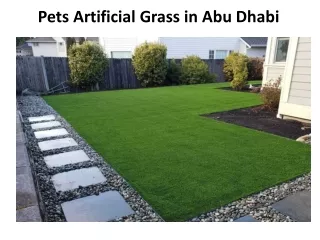 pets artificial grass in abu dhabi