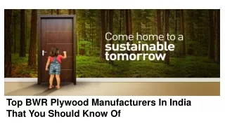 Top BWR Plywood Manufacturers In India That You Should Know Of
