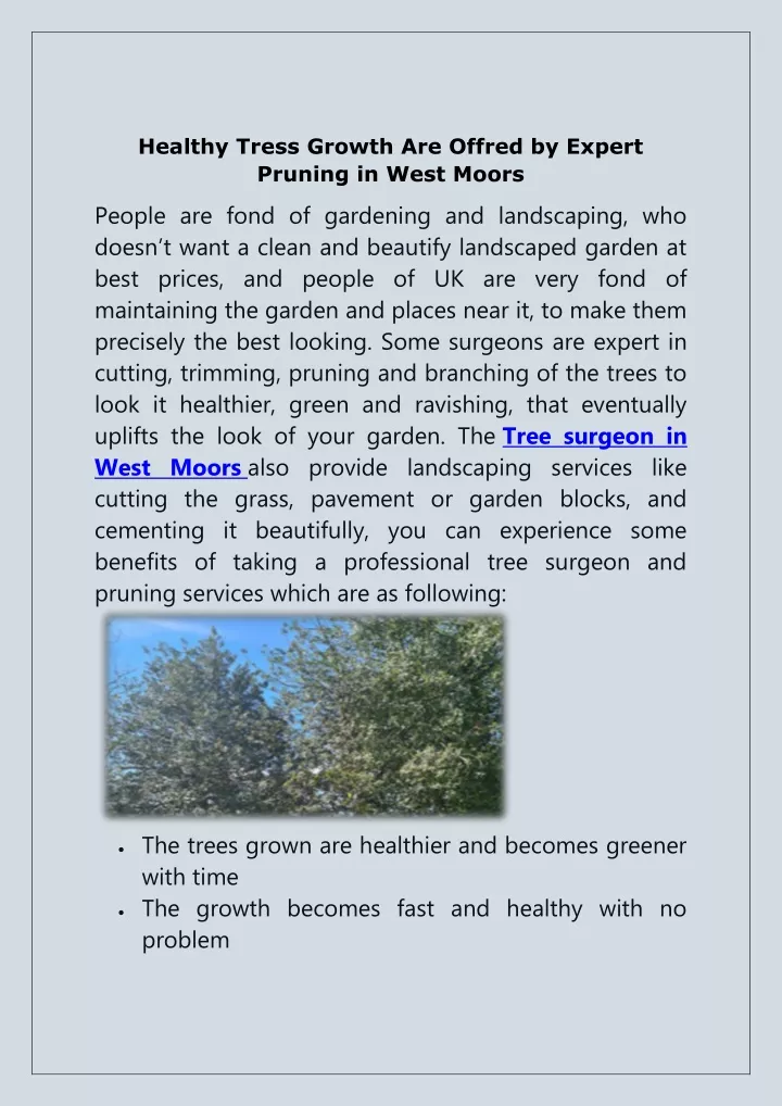 healthy tress growth are offred by expert pruning