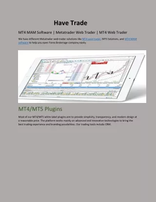 MT4 MAM Software | Metatrader Web Trader | MT4 Web Trader
