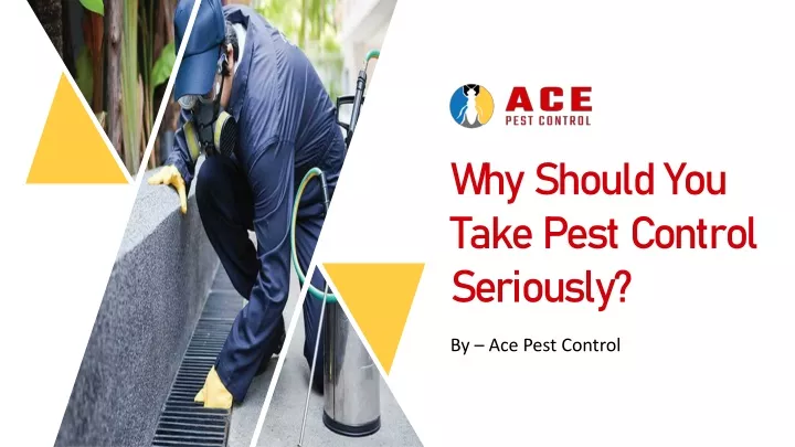 why should you take pest control seriously
