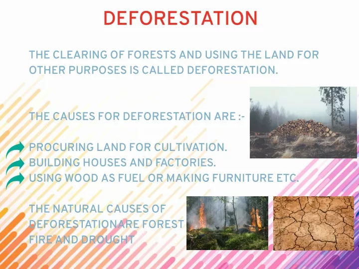 deforestation