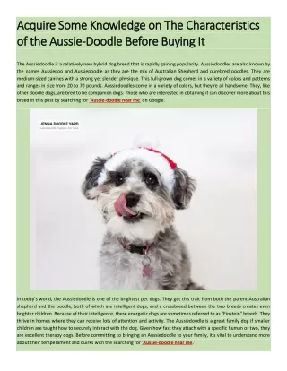 Acquire Some Knowledge on The Characteristics of the Aussie-Doodle Before Buying It
