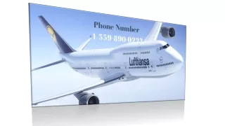 How Do I Manage my Booking on Lufthansa?