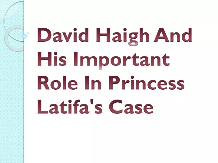 david haigh and his important role in princess latifa s case