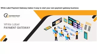 White Label Payment Gateway makes it easy to start your own payment gateway business