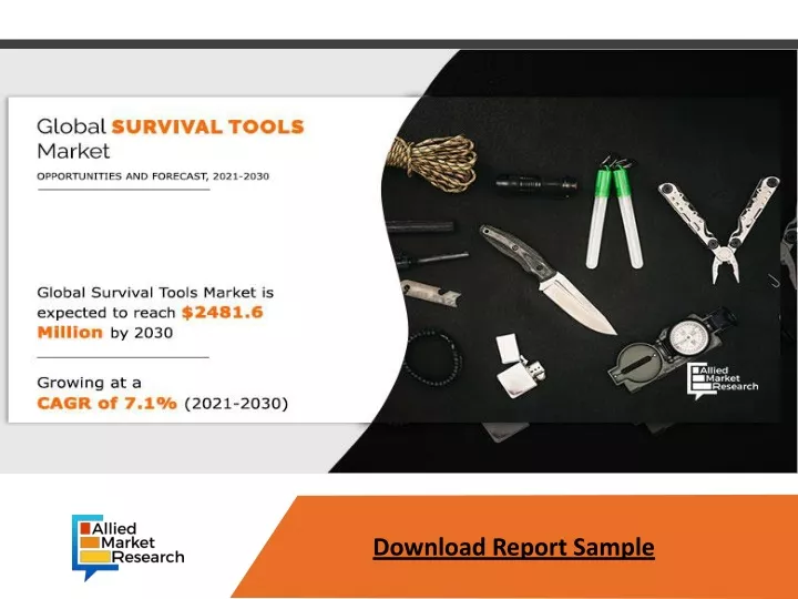 download report sample